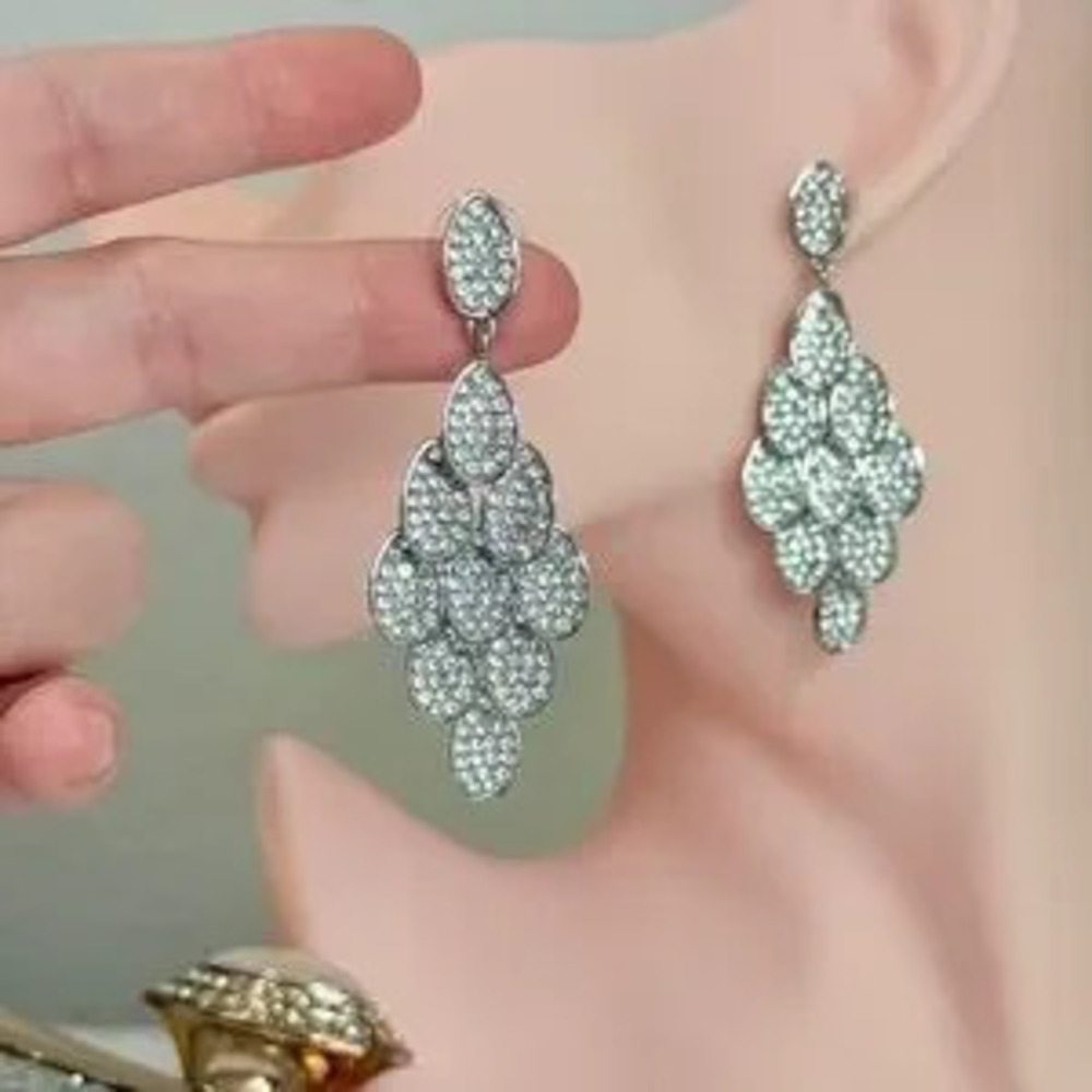 Elegant Silver Drop Earrings